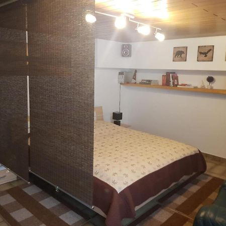 Gemuetliche Ferienwohnung Mit Kamin Und Sauna! Nistertal Exterior photo
