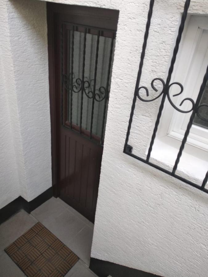 Gemuetliche Ferienwohnung Mit Kamin Und Sauna! Nistertal Exterior photo