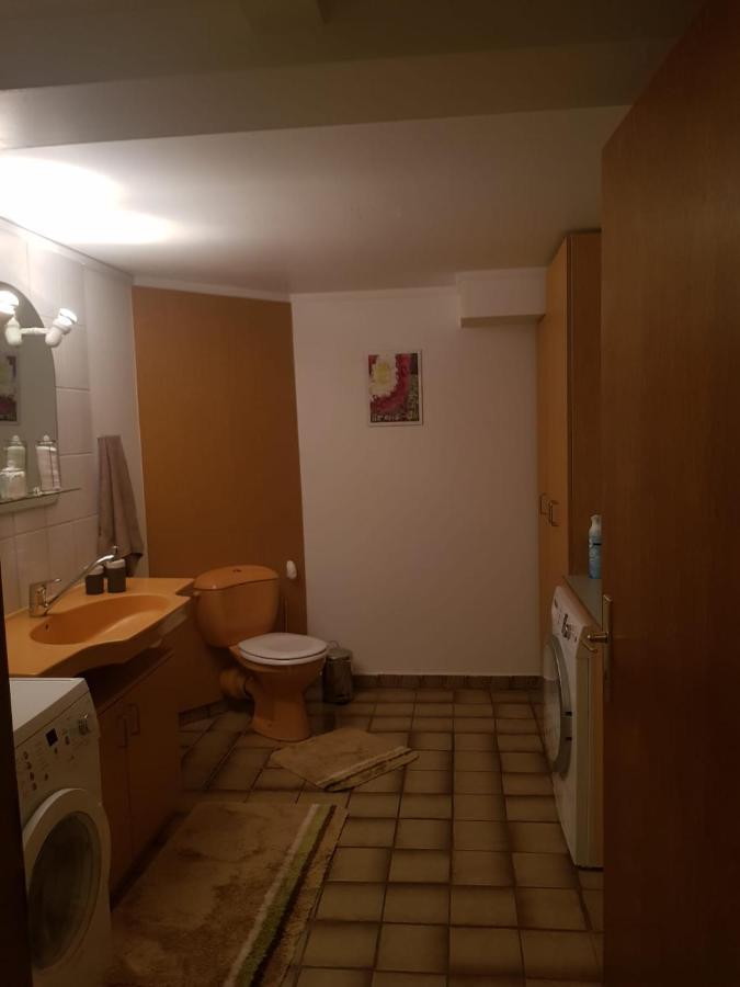 Gemuetliche Ferienwohnung Mit Kamin Und Sauna! Nistertal Exterior photo