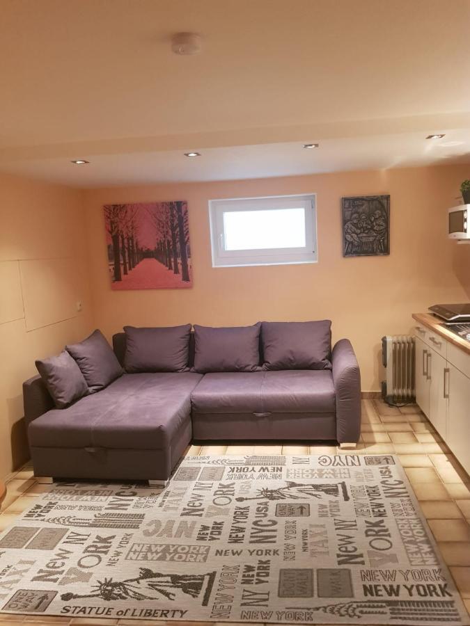 Gemuetliche Ferienwohnung Mit Kamin Und Sauna! Nistertal Exterior photo