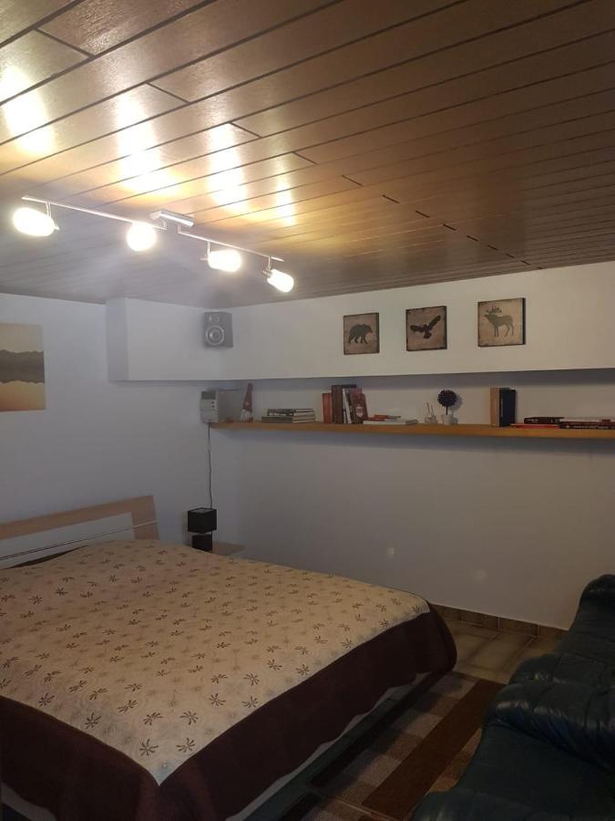 Gemuetliche Ferienwohnung Mit Kamin Und Sauna! Nistertal Exterior photo